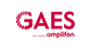 Grupo GAES